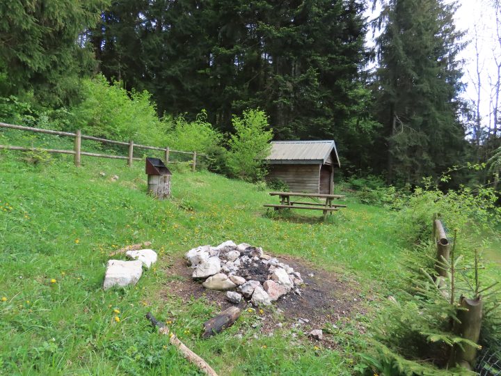 Abri de l'arboretum