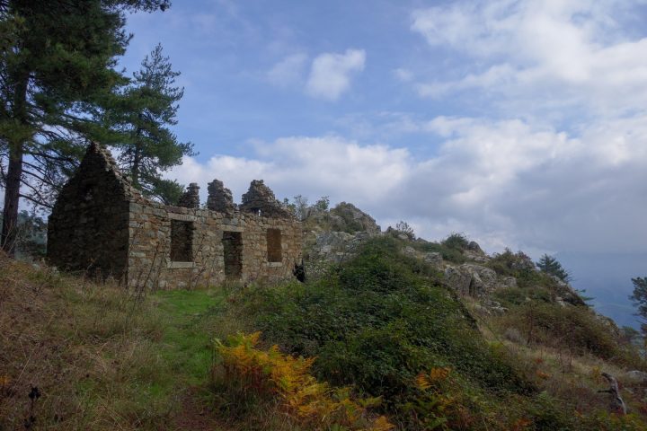 Abri forestier de Forca