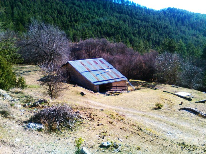 Bas Sumaure