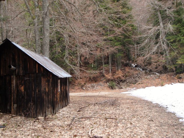 Cabane de la piste du Col des Tours  (torrent de l'Aup)
