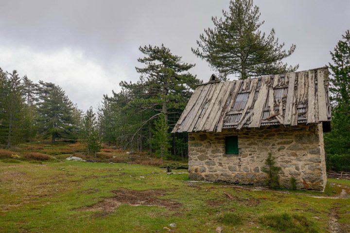 Abri forestier d'Alzu