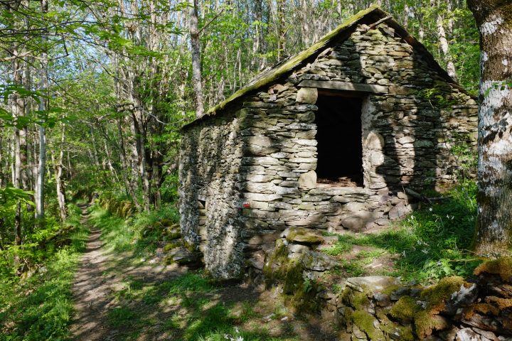 Cabane de Fontanille