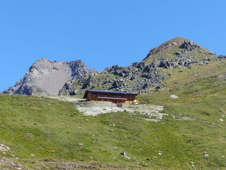 Refuge Grauson