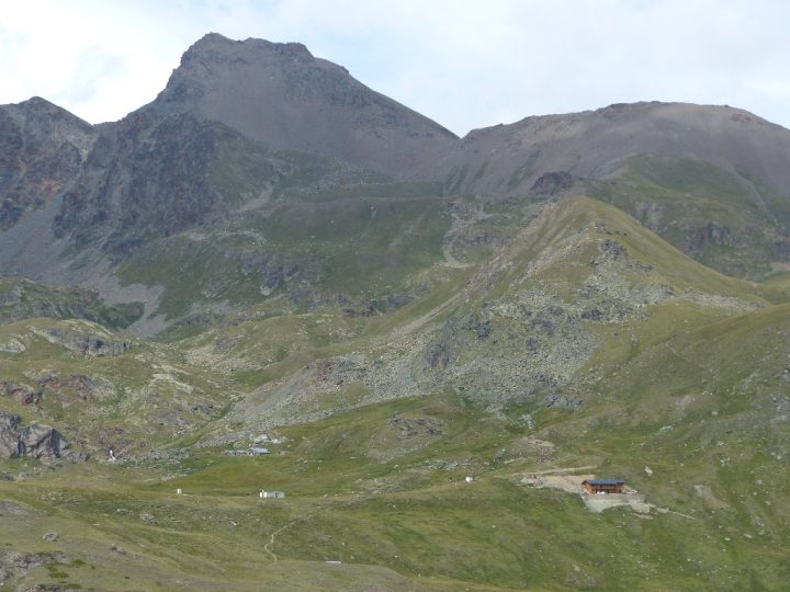 Refuge Grauson