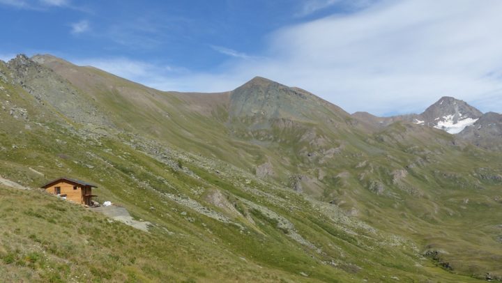 Refuge Grauson