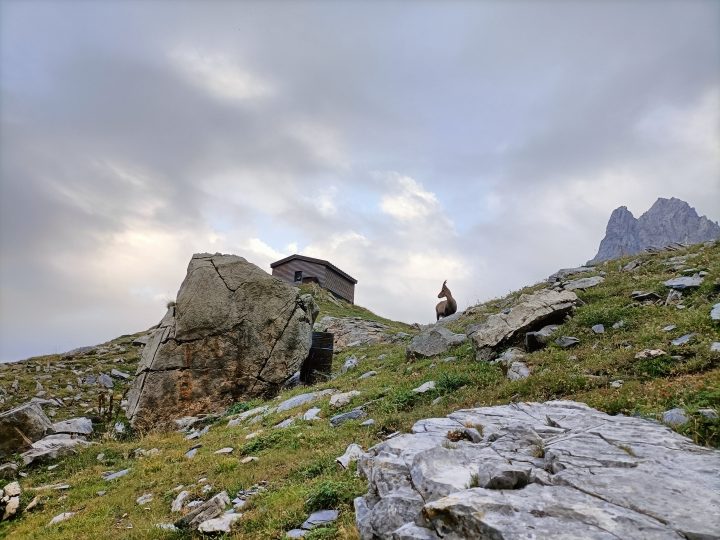 Bivacco Angelo Valmaggia