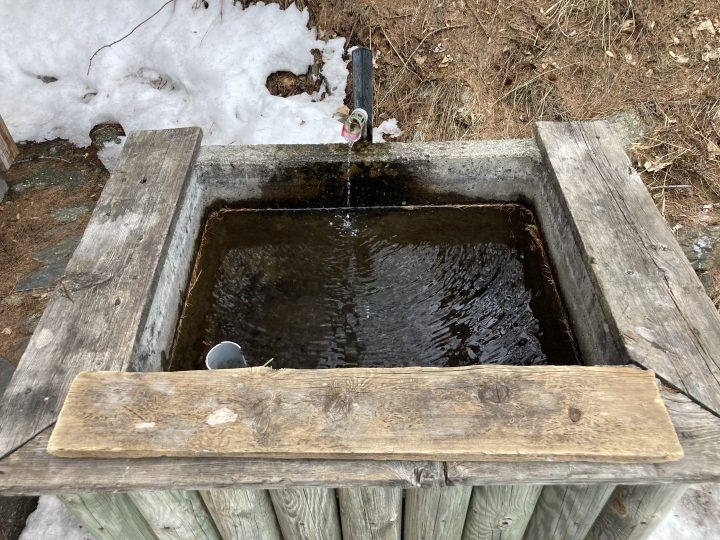 Cabane forestière du Poyet