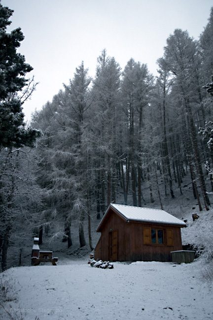 Cabane forestière du Poyet