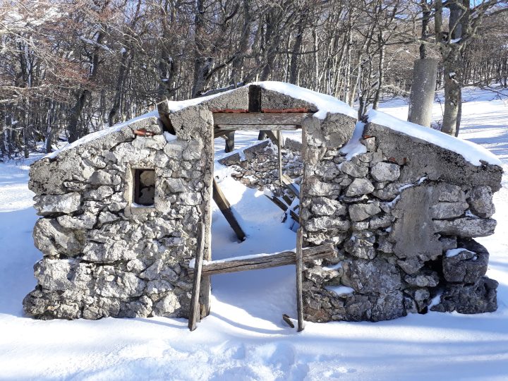 Bergerie de la Sausse