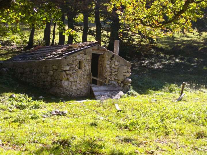 Bergerie de la Sausse