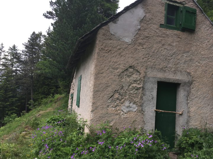 Cabane forestière de l'Hospitalet
