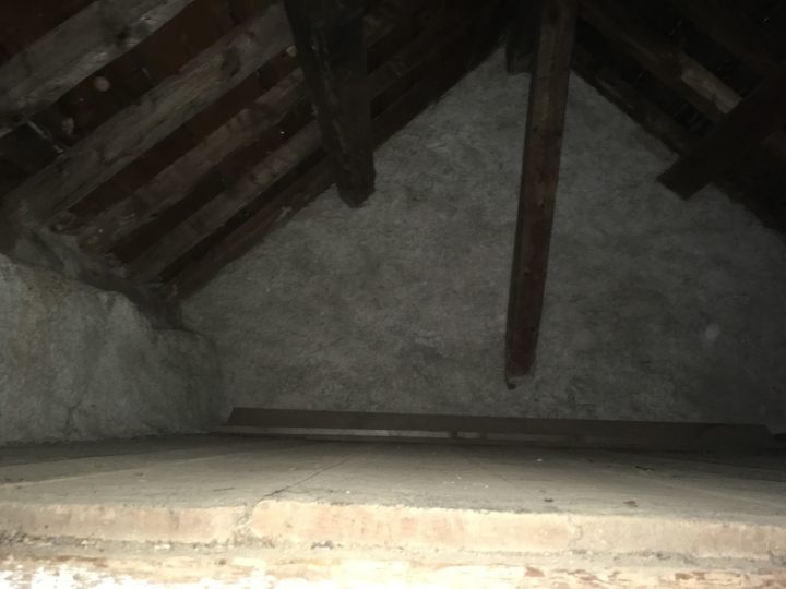 Cabane forestière de l'Hospitalet