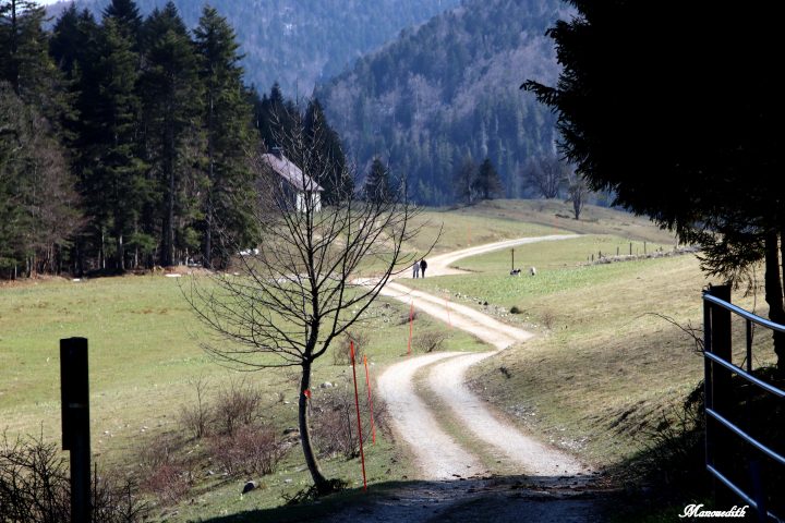 Grange de Falavier