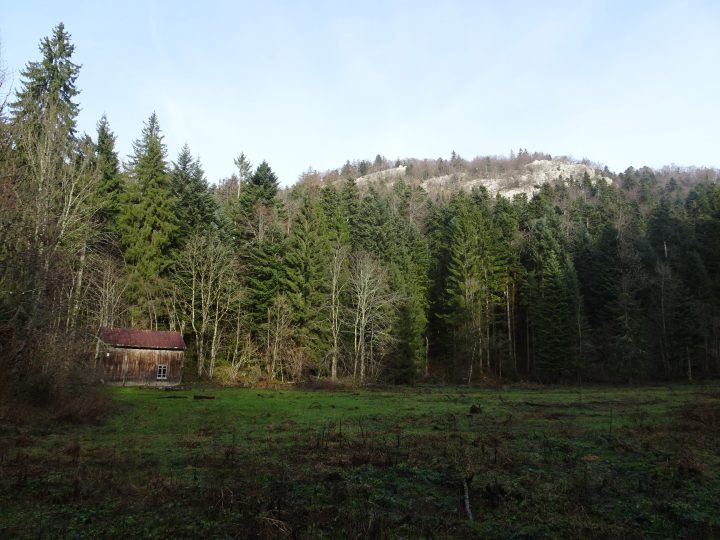 Cabane du Pré de la Française
