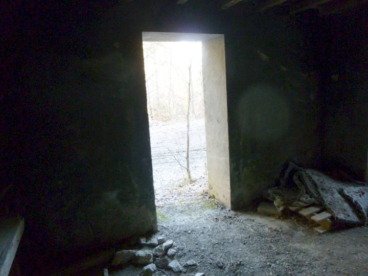 Cabane forestière du Riffol