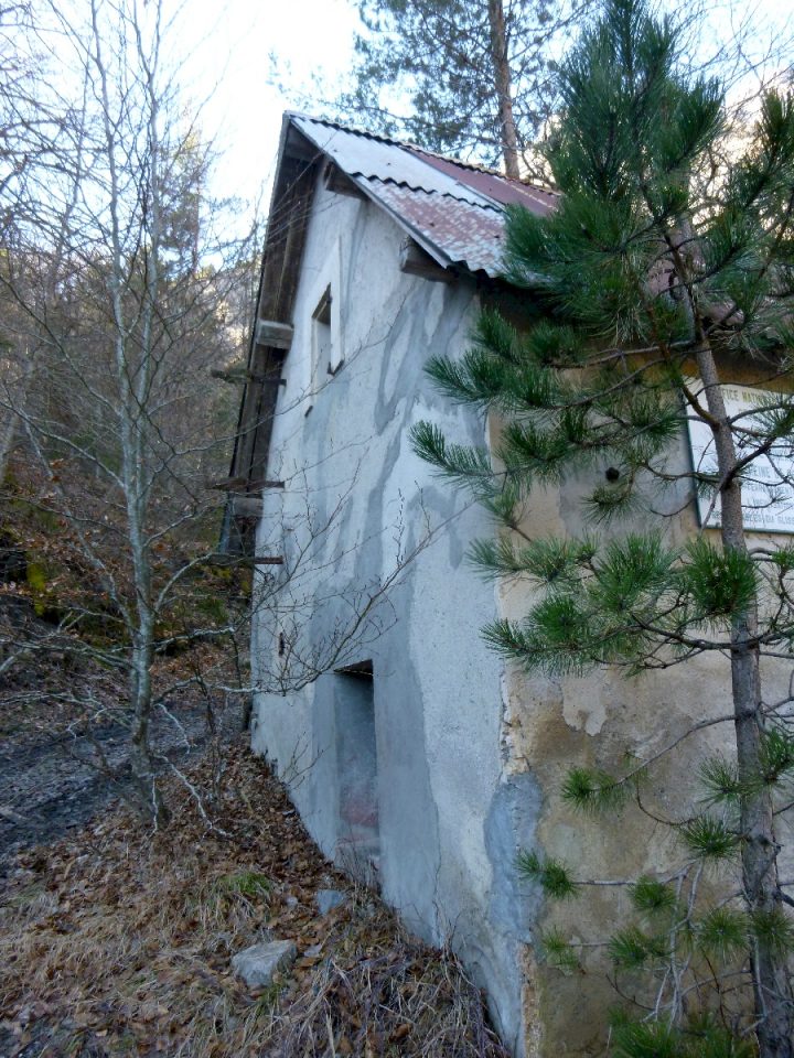 Cabane forestière du Riffol