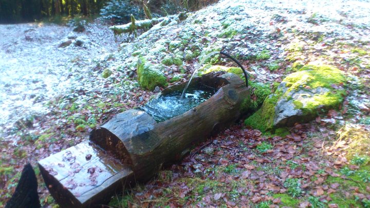 Chalet forestier des Baigneux