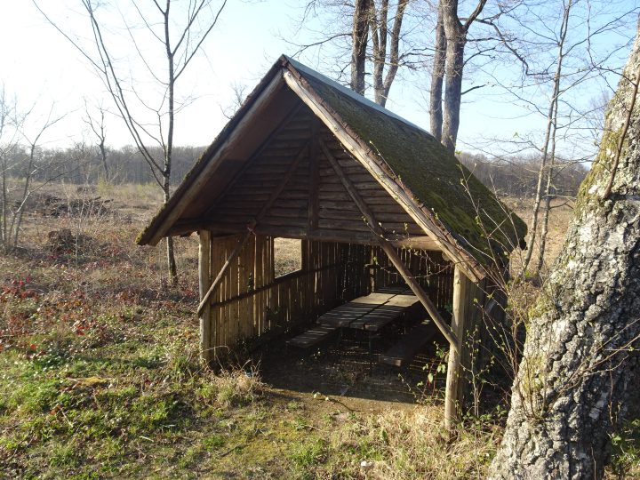 Baccu du Chien Pendu