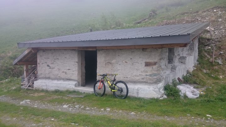 L'Arbé des Mouches