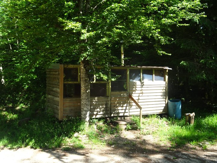 Cabane du bois de Fontaine Creuse