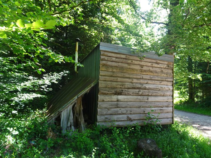 Cabane du bois de Fontaine Creuse