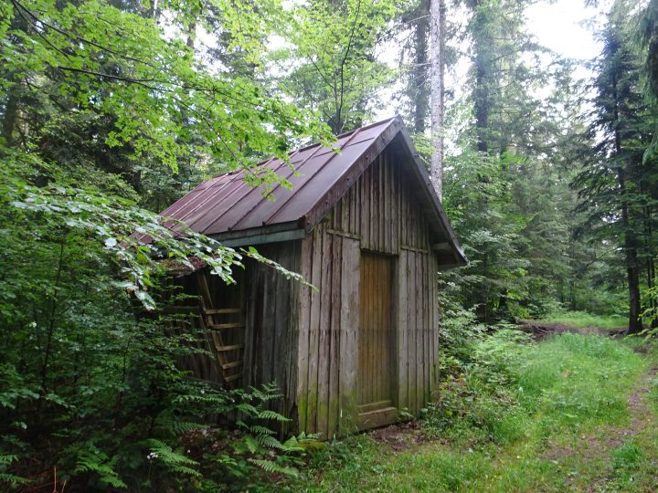 Cabane du bois des assiettes