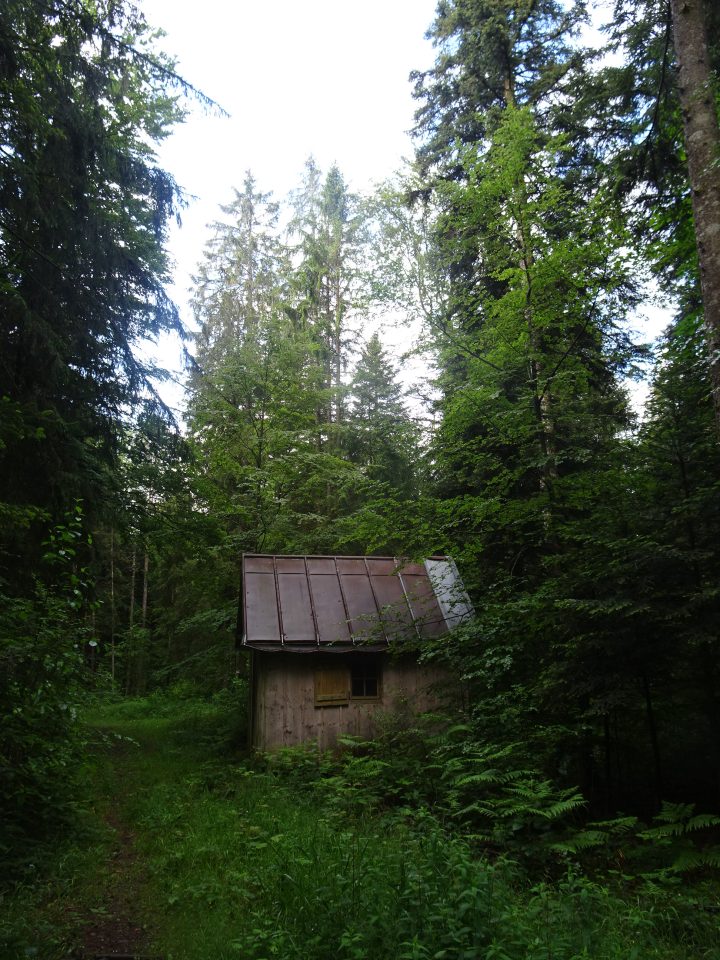 Cabane du bois des assiettes