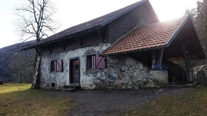 Cabane de Gazon Vert