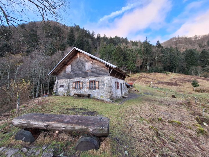 Cabane de Gazon Vert