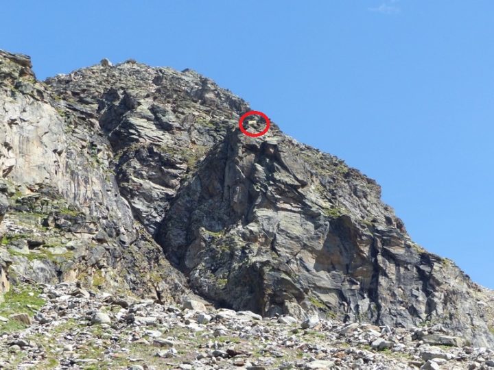 Bivouac Fisso "Money"