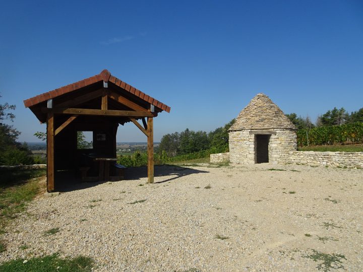 Caborde de la vigne conservatoire du Val d'Amour