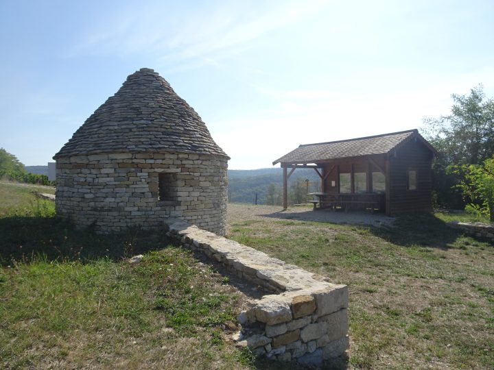 Caborde de la vigne conservatoire du Val d'Amour