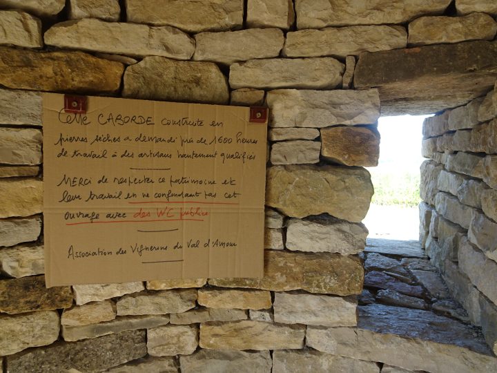 Caborde de la vigne conservatoire du Val d'Amour