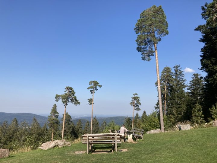Hahnenfalzhütte