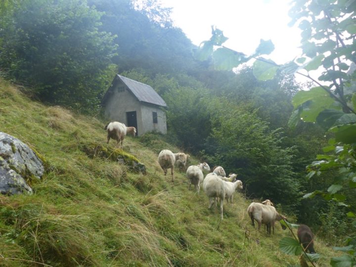 Cabane d'Haou