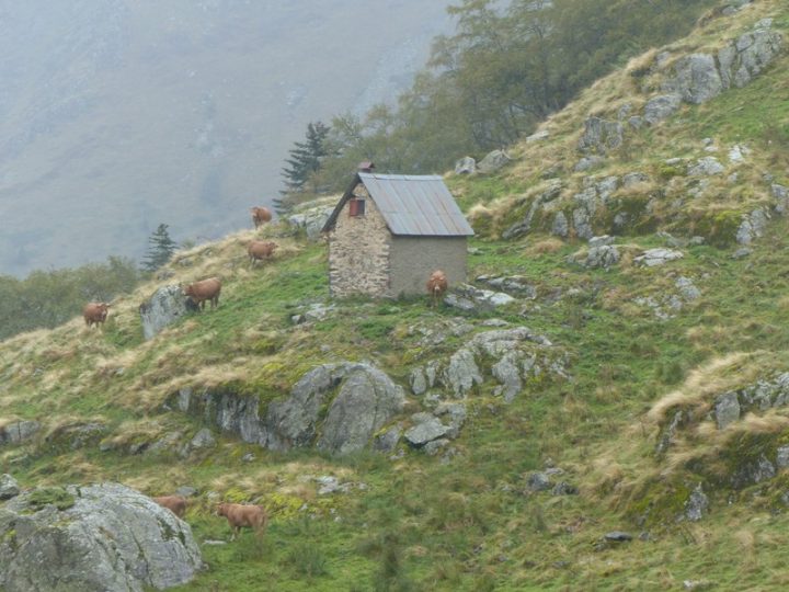 Cabane de la Coumeda