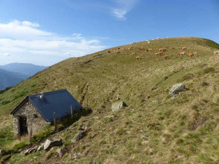 Cabane du Pas de Tartet
