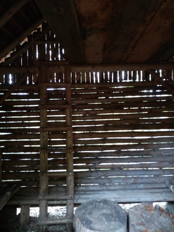 Cabane chemin Braun