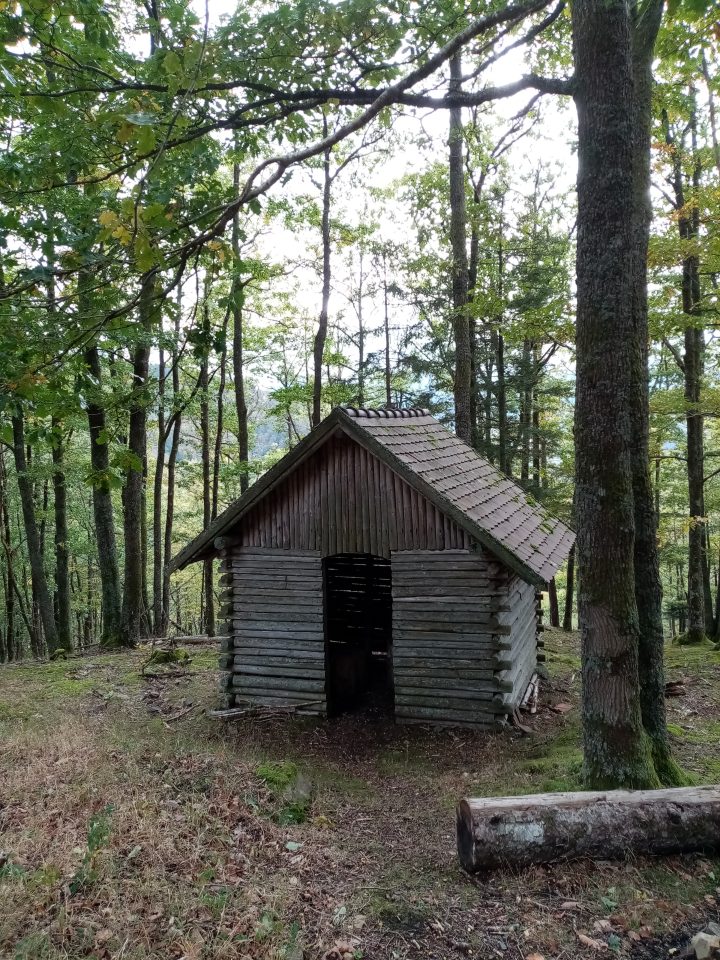 Cabane chemin Braun
