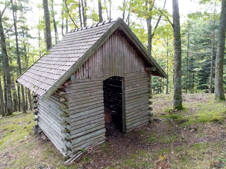 Cabane chemin Braun