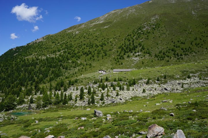 Stierberg Alm - Malga del Toro