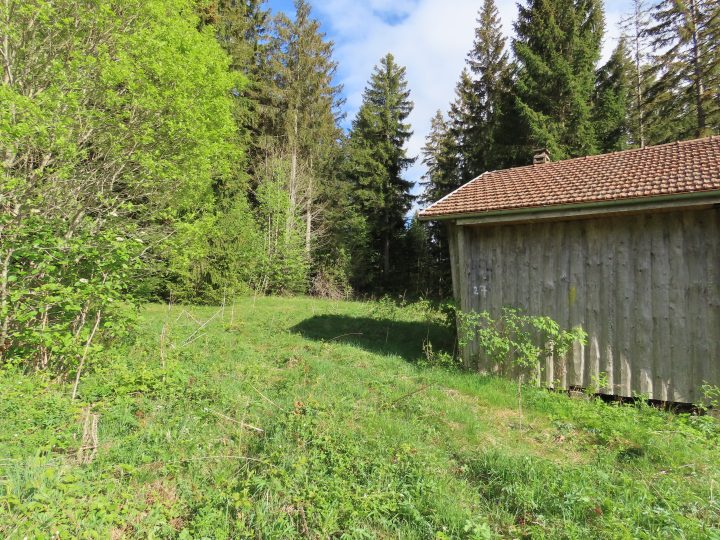 Cabane du Mont Châteleu