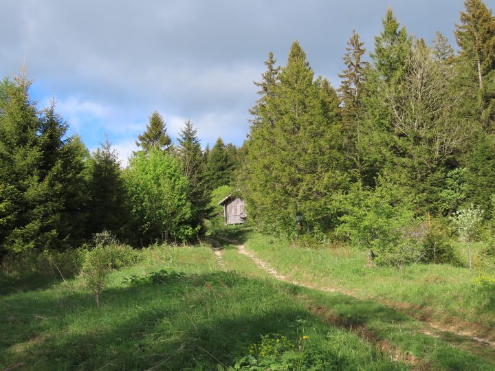 Cabane du Mont Châteleu