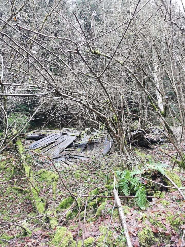 Cabane du Creux des Billons