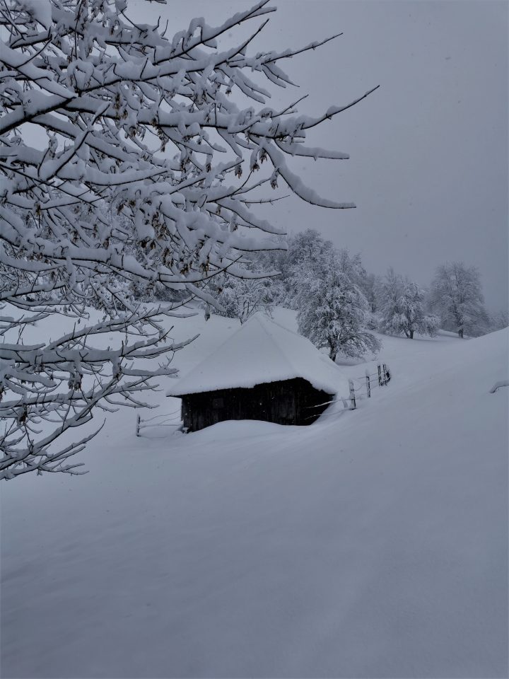Chalet de la Revêche