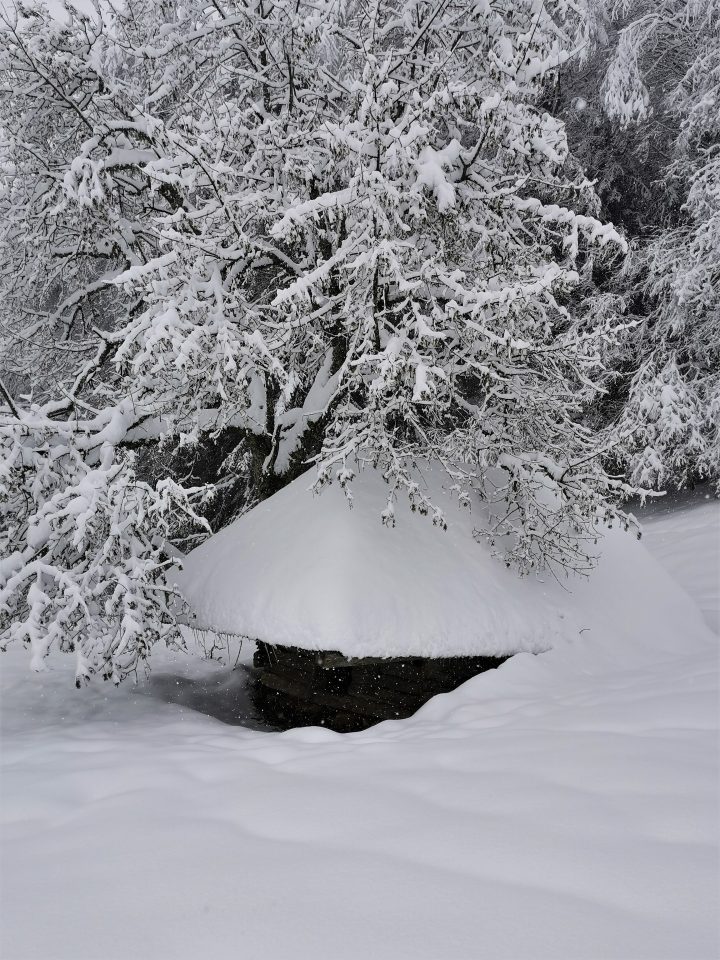 Abri de la clairière de la Revêche