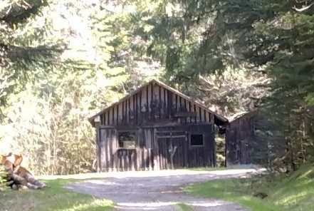 Chalet de Champenet