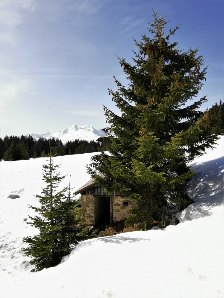 Abri des Follières