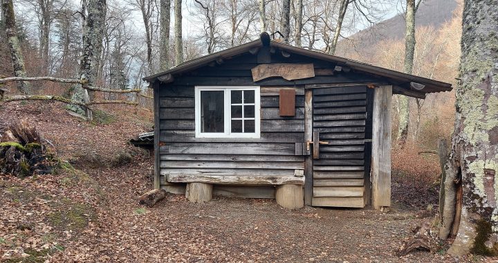 Cabane "le refuge"