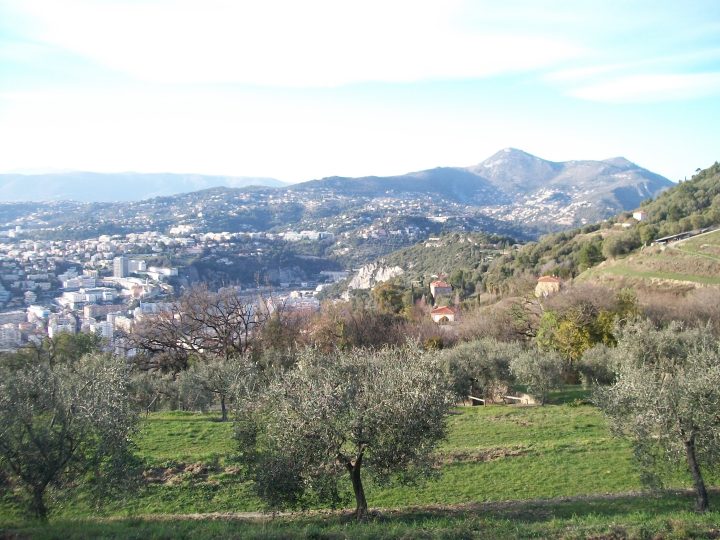Abri du vinaigrier